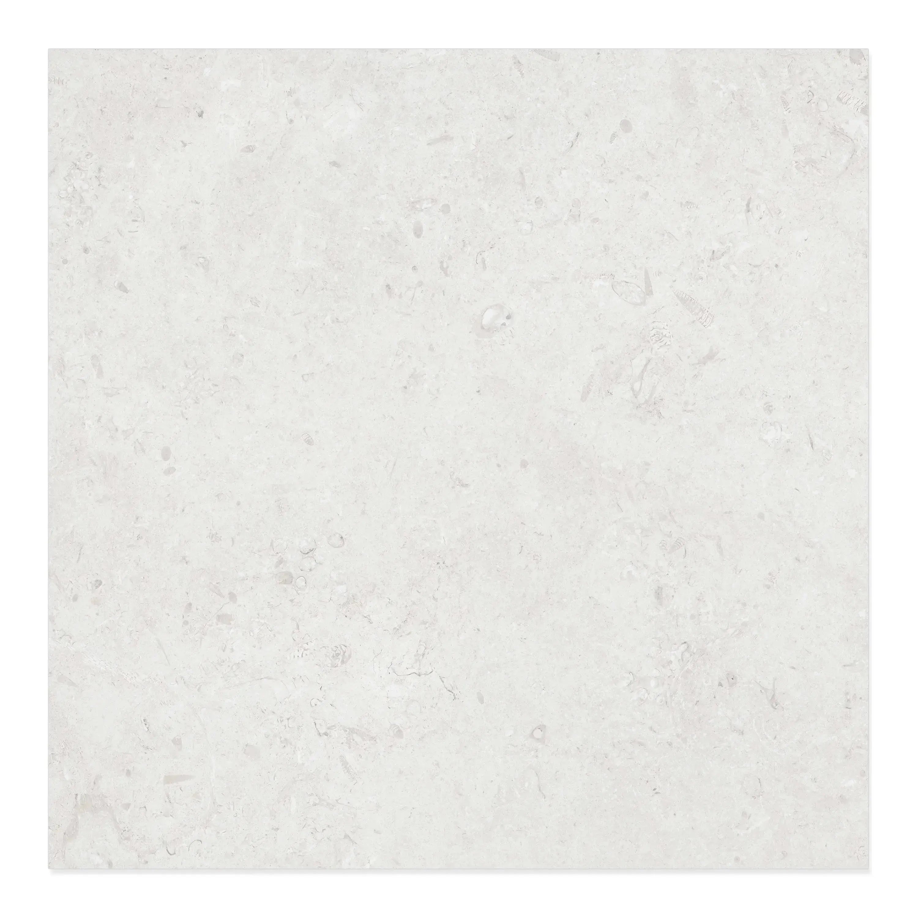 Jerusalem Stone Porcelain Tile White 24x24