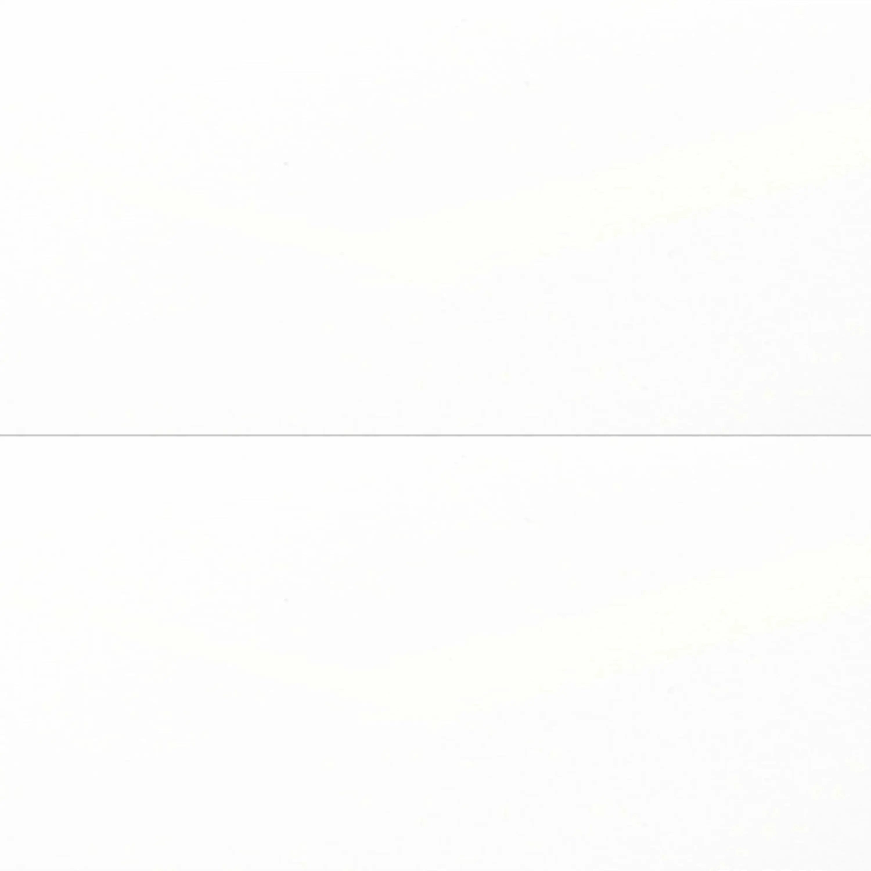 Blanc Porcelain Tile 24x48