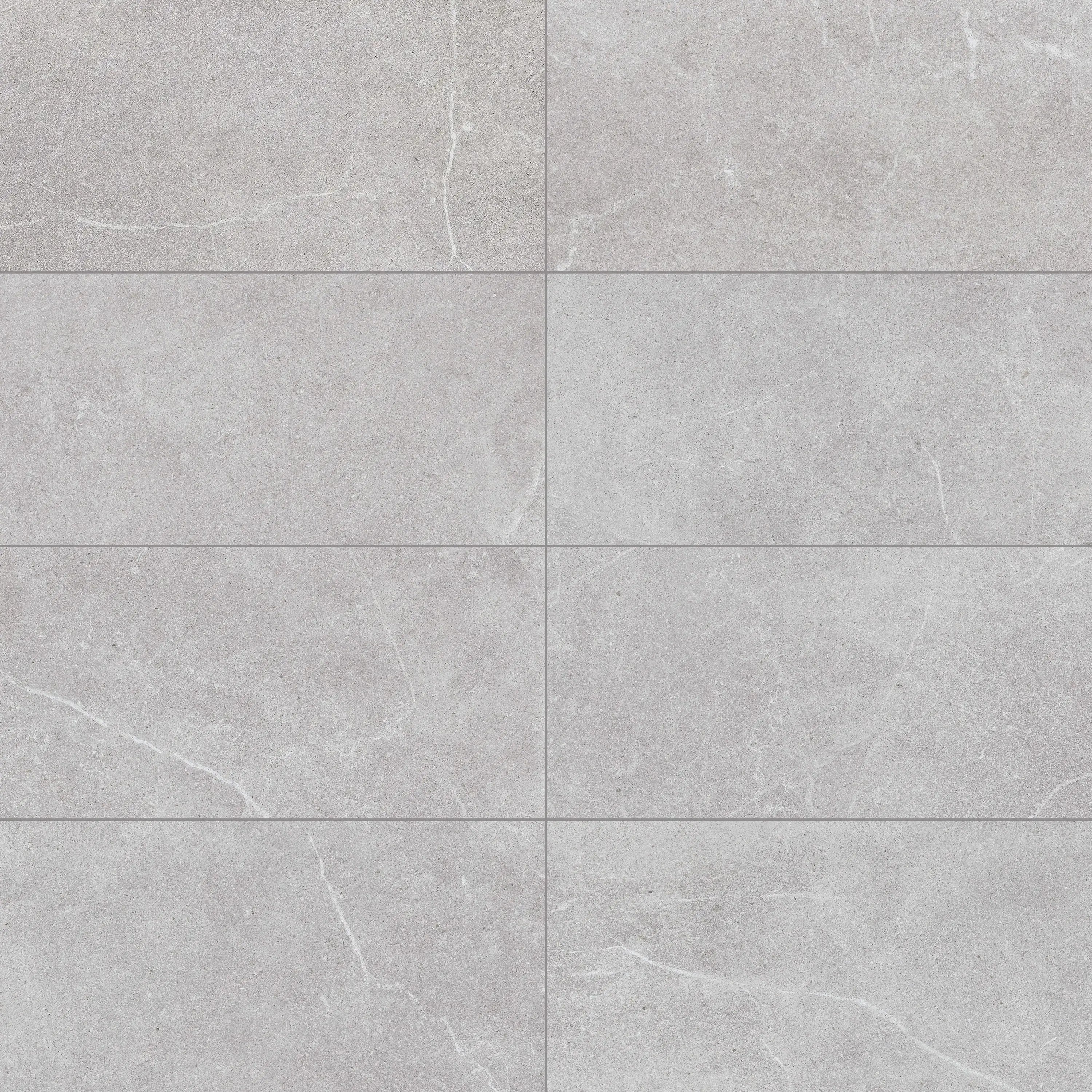 Astrastone Porcelain Tile Silver 12x24