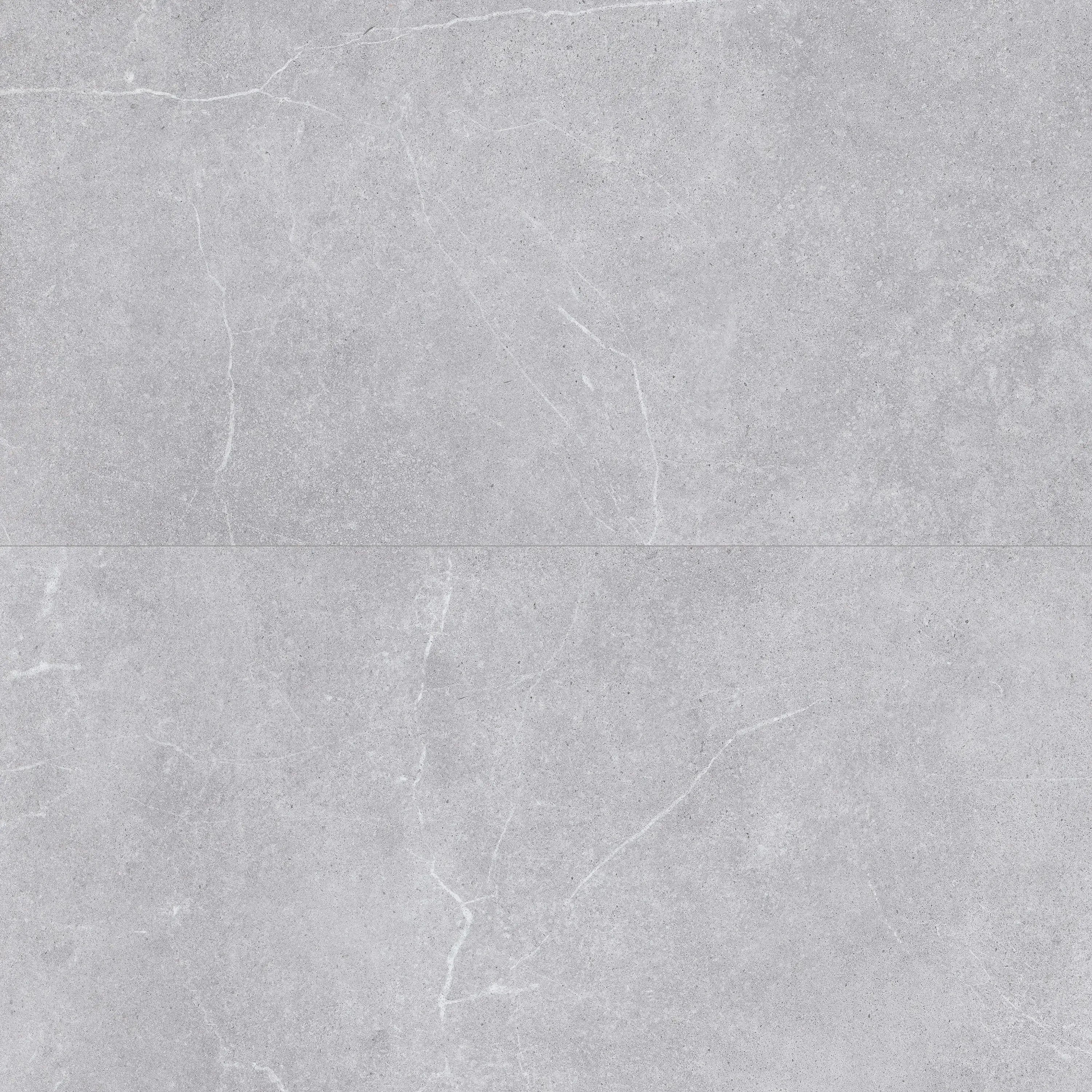 Astrastone Porcelain Tile Silver 24x48