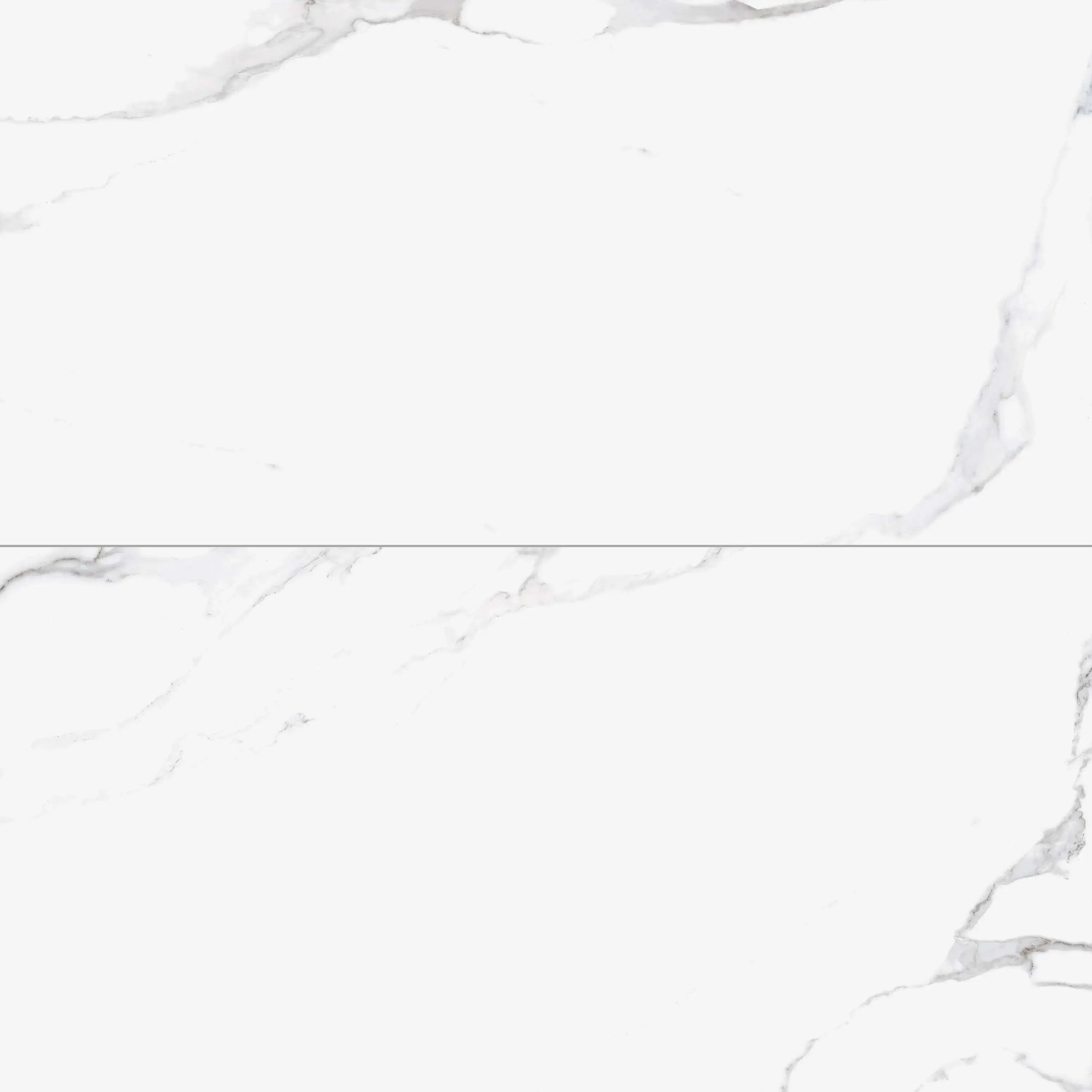 Liguria Porcelain Tile Silver Matte 24x48