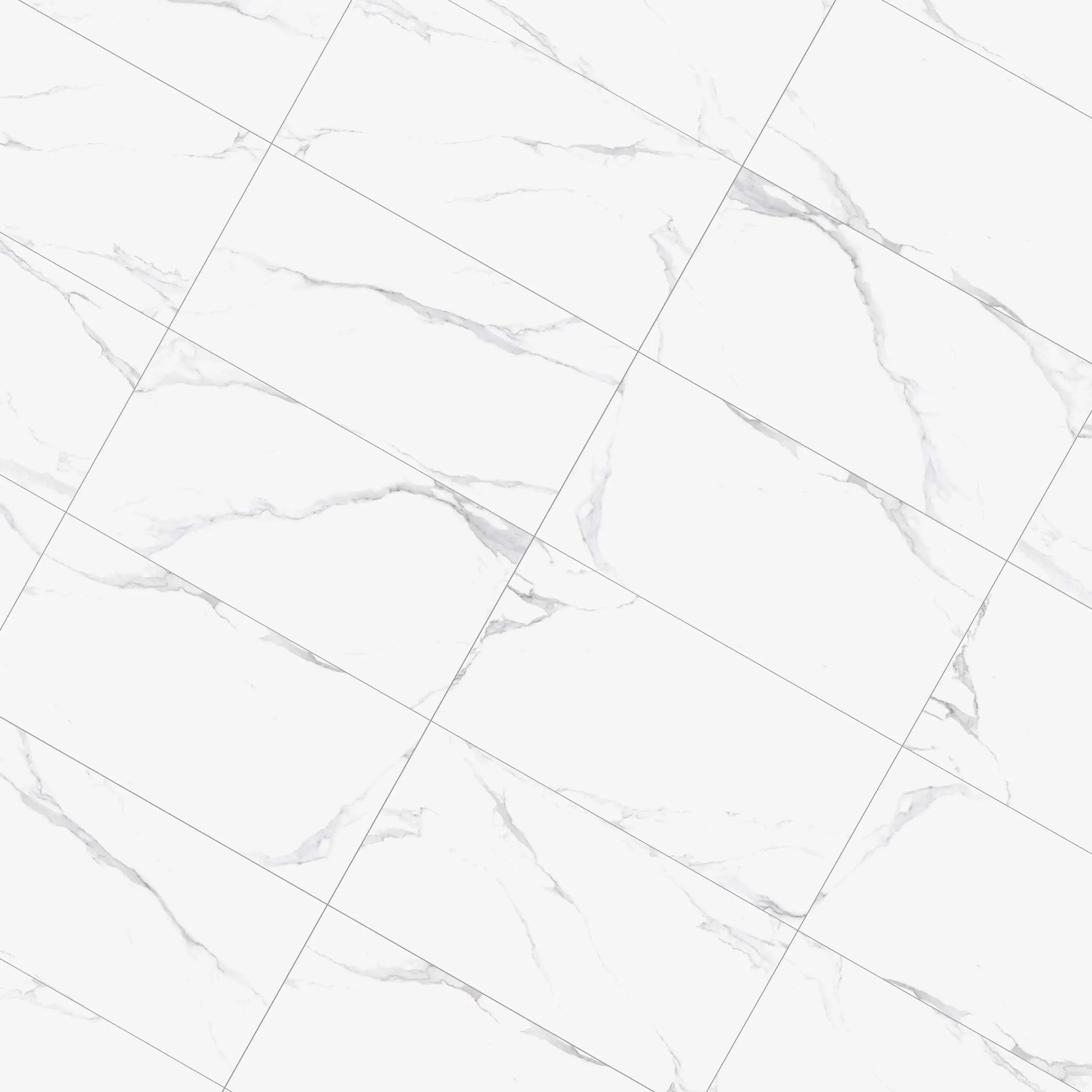 Liguria Porcelain Tile Silver Matte 24x48