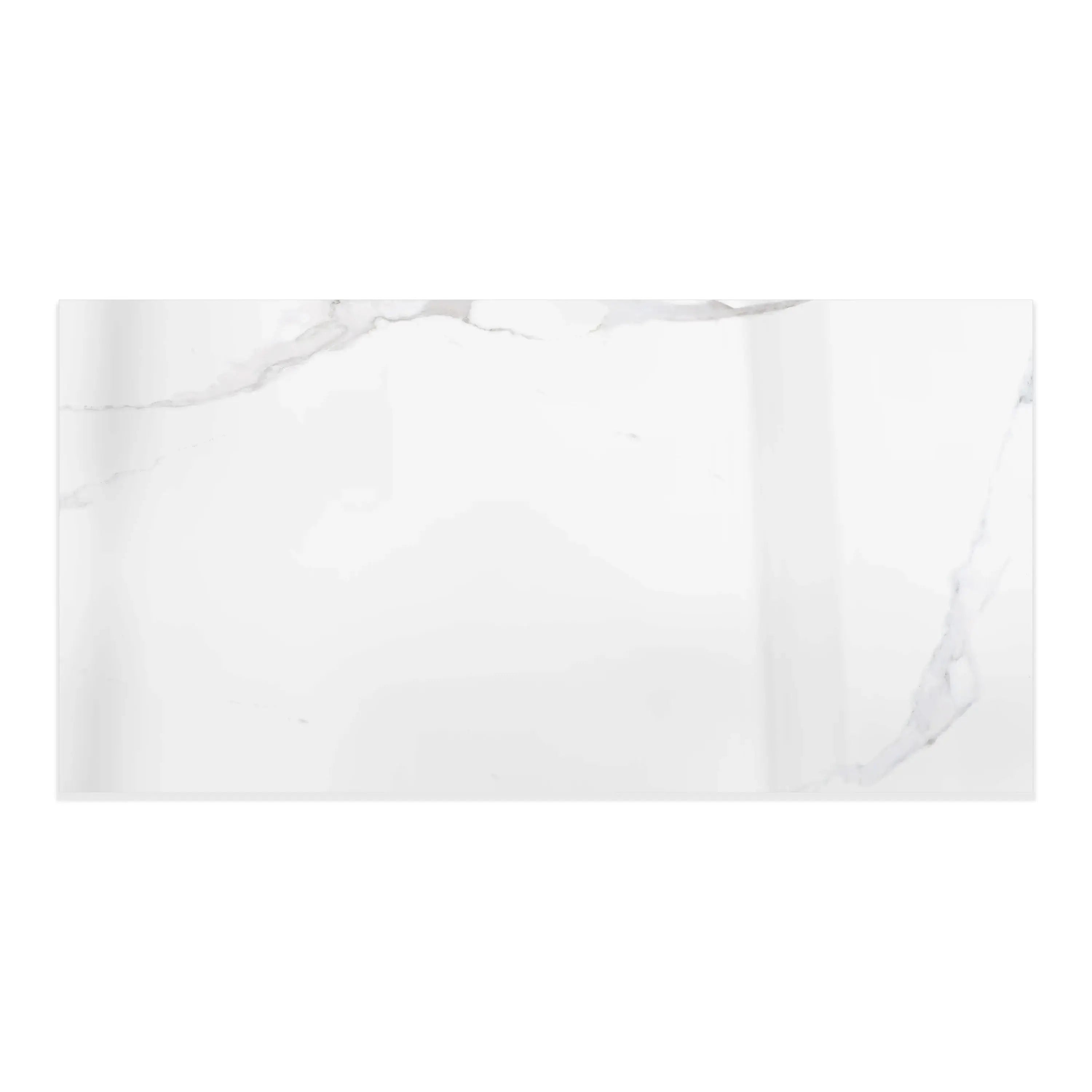 Liguria Porcelain Tile Silver Glossy 24x48