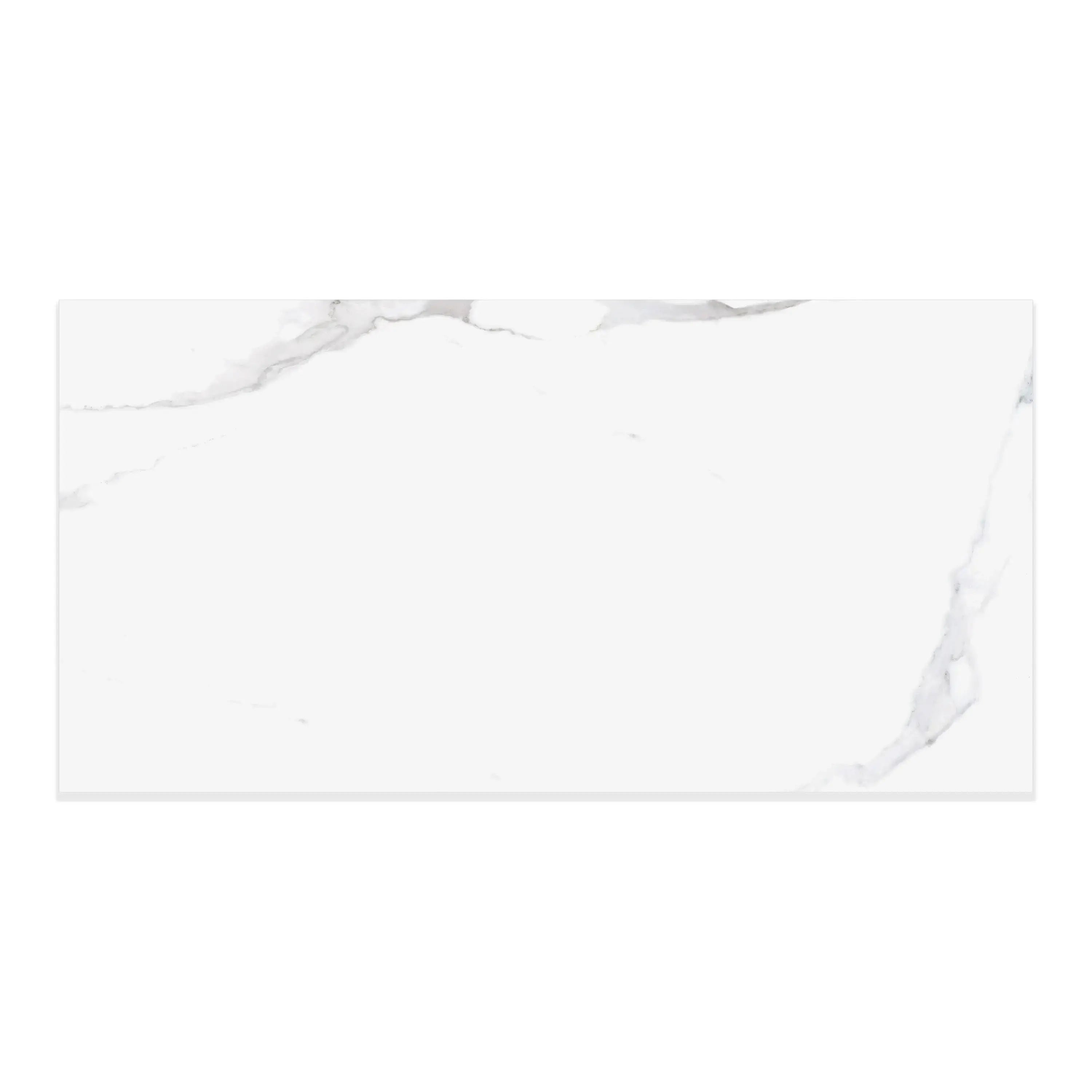 Liguria Porcelain Tile Silver Matte 24x48