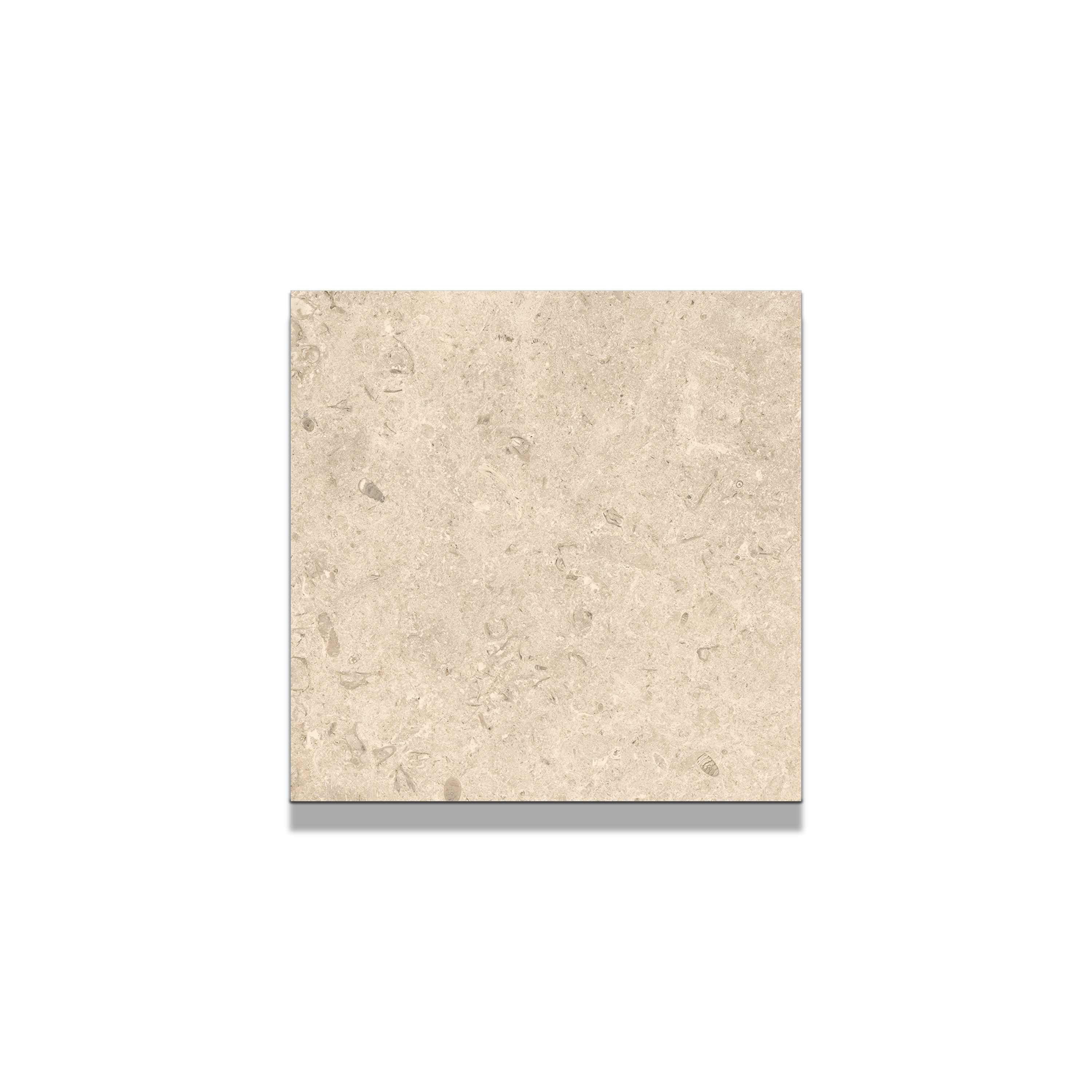 Jerusalem Stone Porcelain Tile 4"x4" Sample