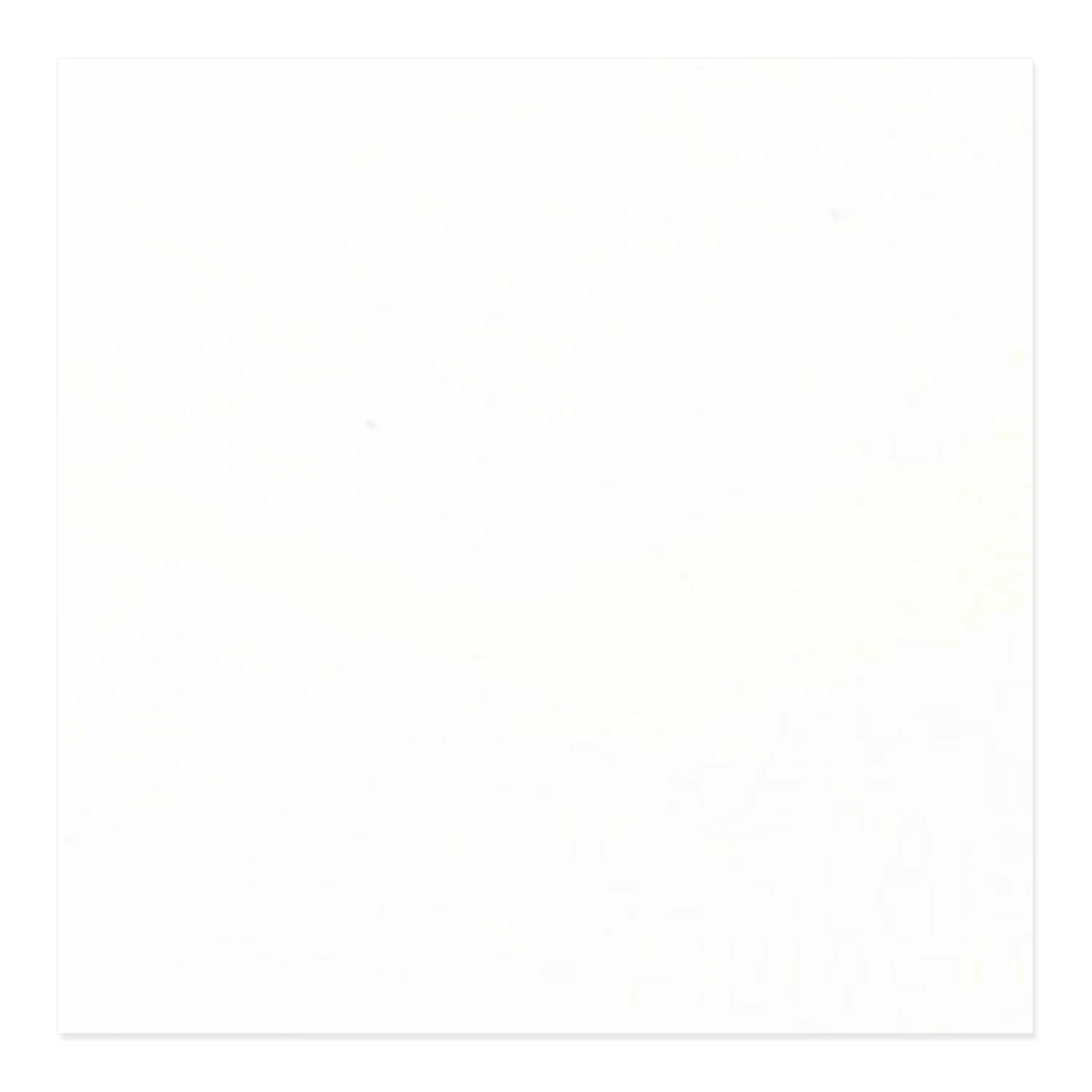 Blanc Porcelain Tile 24x24