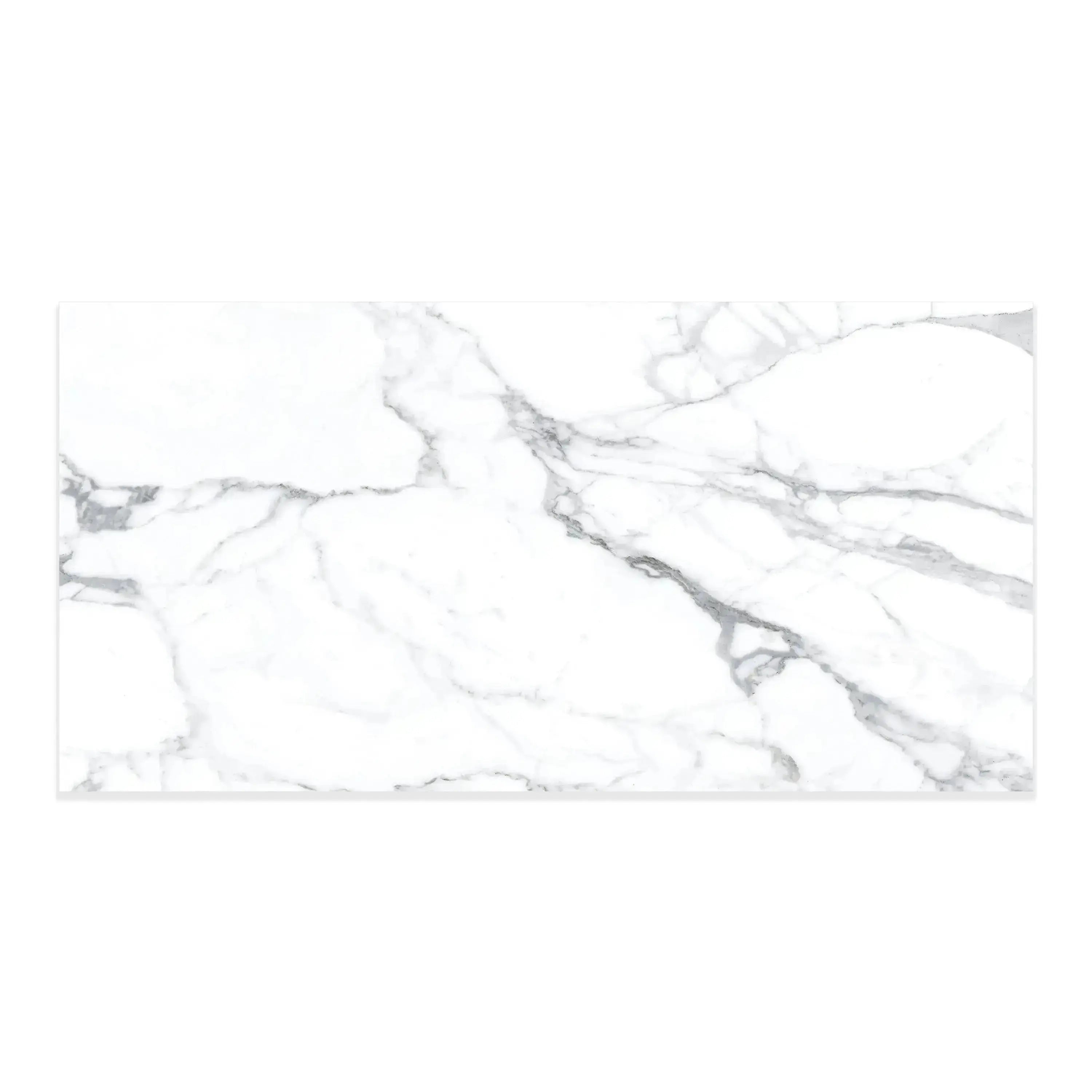 Statuario Porcelain Tile 12x24 Matte