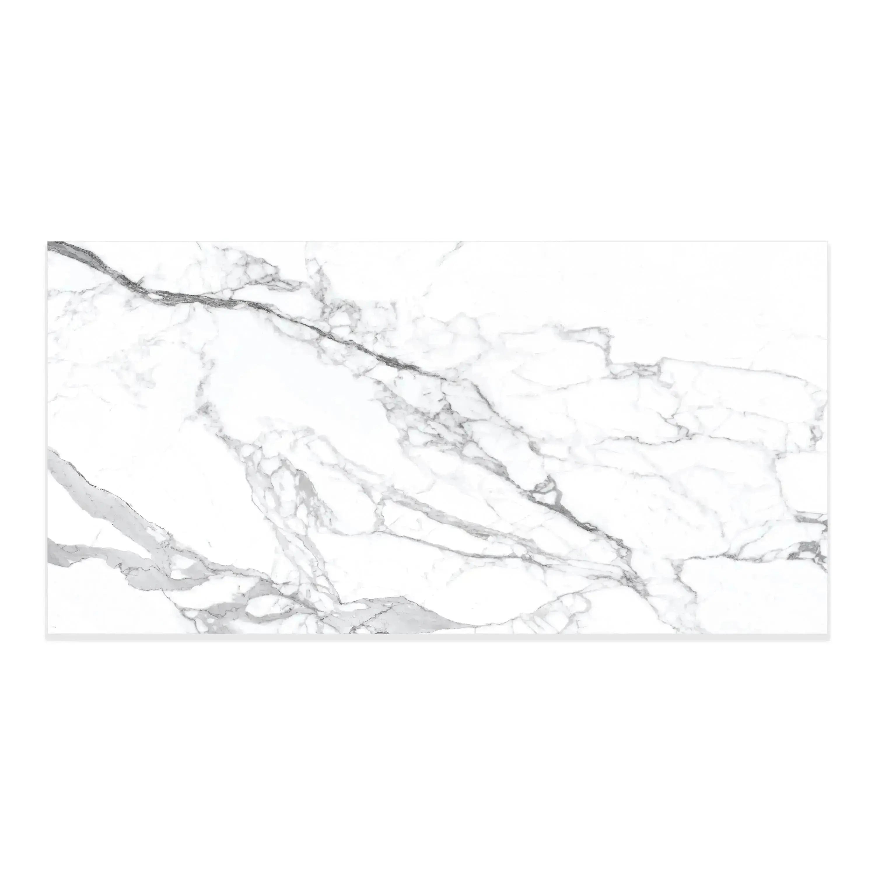 Statuario Porcelain Tile 24x48 Matte