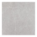 Astrastone Porcelain Tile Silver 24x24