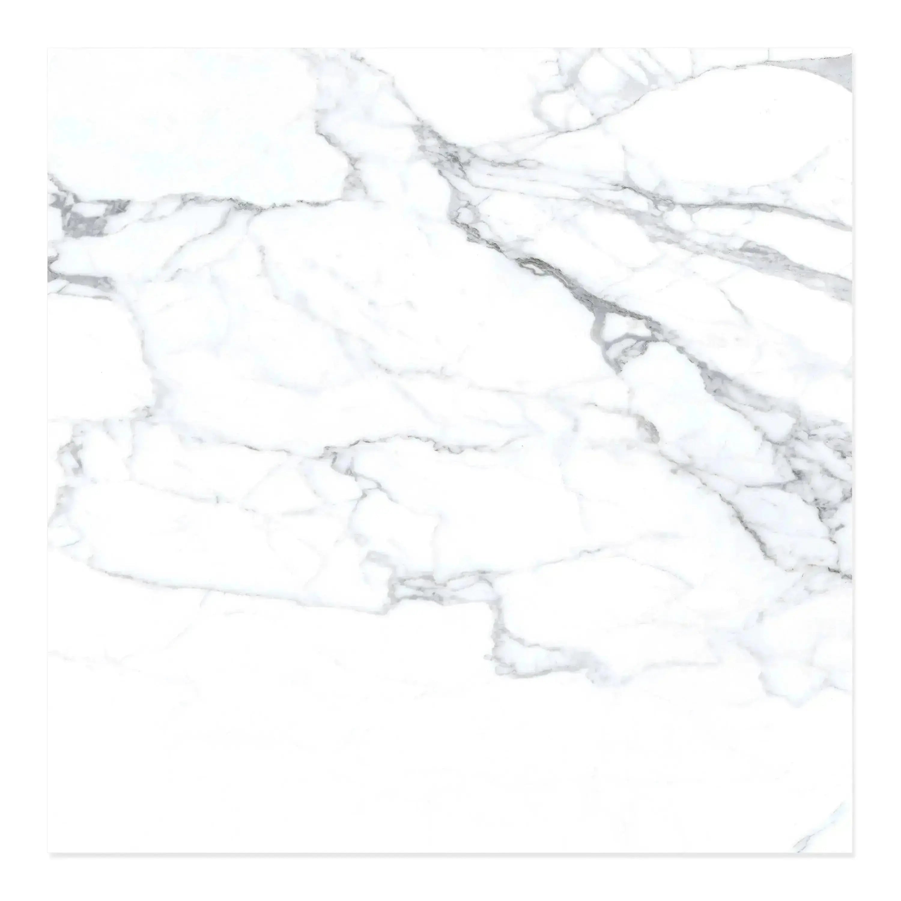 Statuario Porcelain Tile (dev) 24x24 Matte