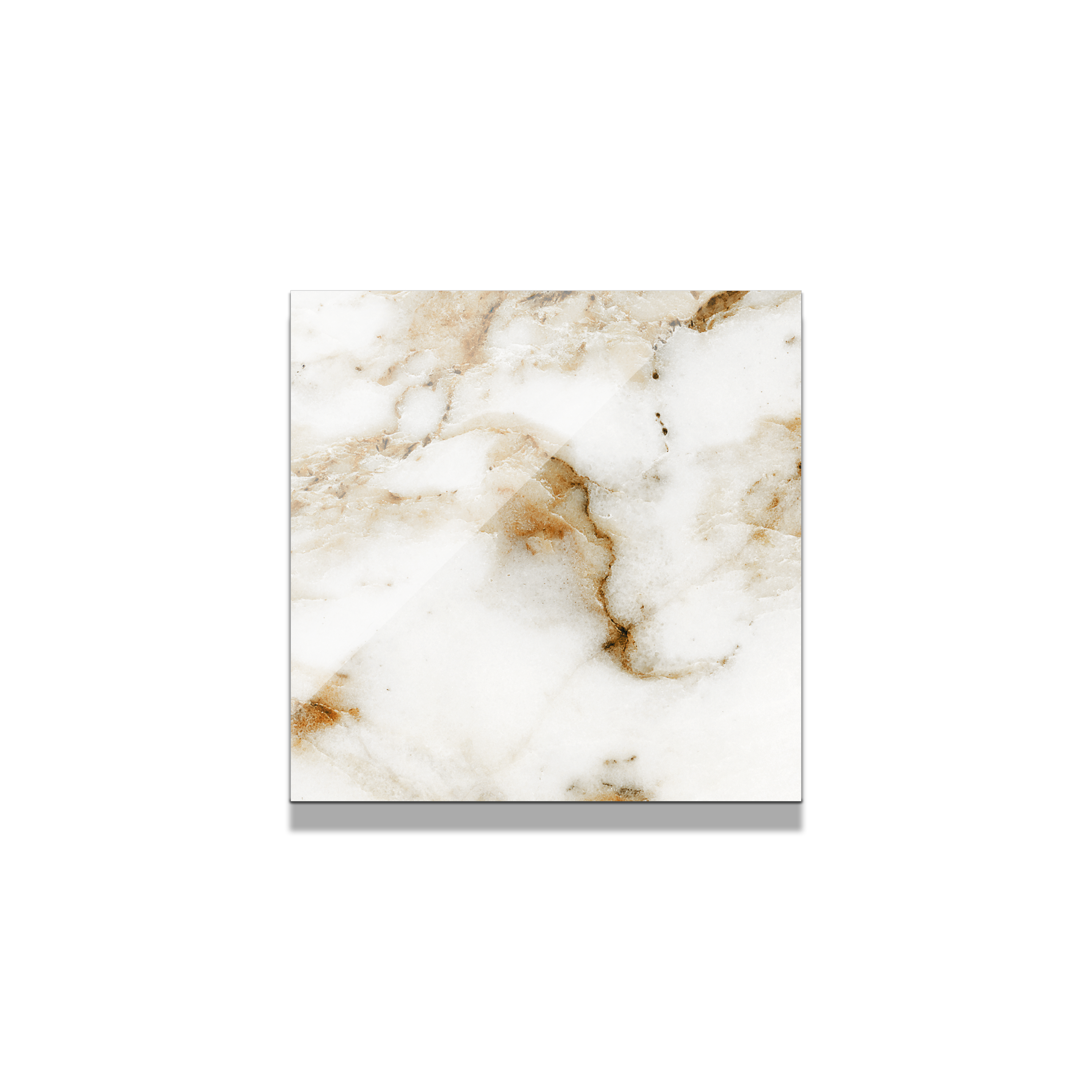 Aurora Porcelain Tile 4"x4" Sample