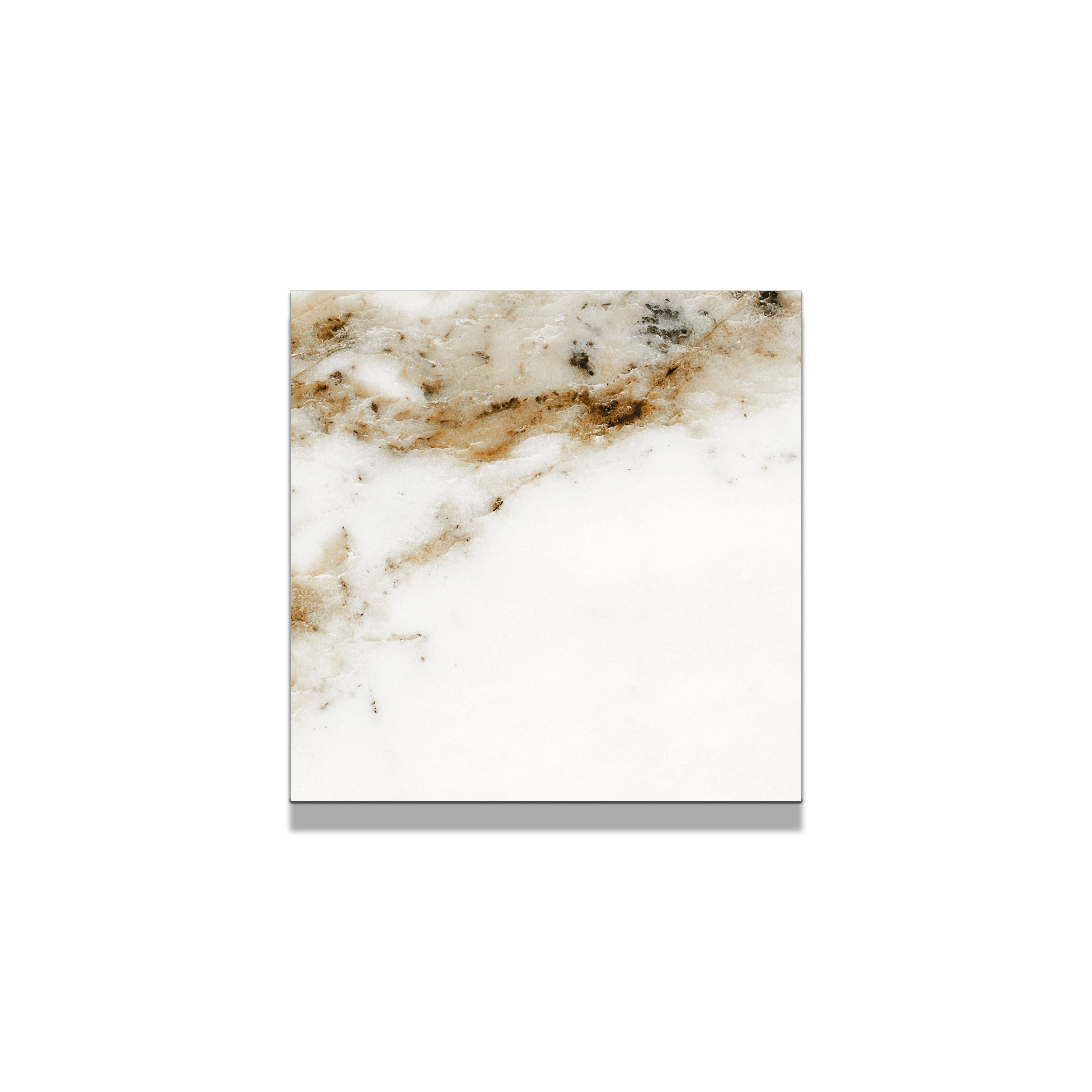 Aurora Porcelain Tile 4"x4" Sample