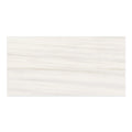 Dolostone Porcelain Tile Ivory 24x48 Matte