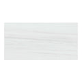 Dolostone Porcelain Tile White 24x48 Matte