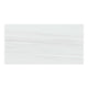 Dolostone Porcelain Tile White 24x48 Matte