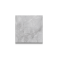 Opal Porcelain Tile 4"x4" Sample