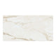 Liguria Porcelain Tile Gold Matte 24x48