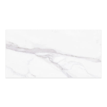 Liguria Porcelain Tile Silver Matte 12x24