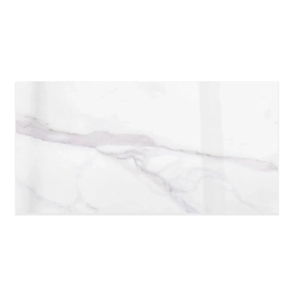 Liguria Porcelain Tile Silver Glossy 12x24