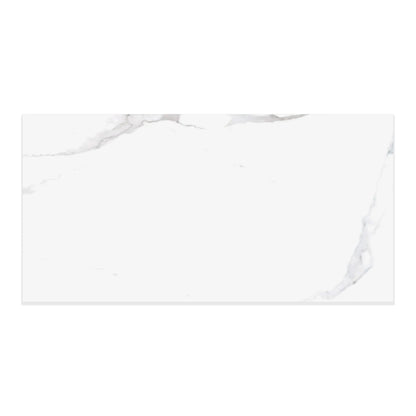 Liguria Porcelain Tile Silver Matte 24x48