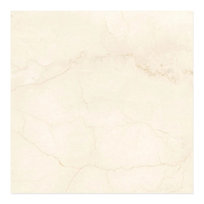 Botticino Select Porcelain Tile Natural 24x24 Matte