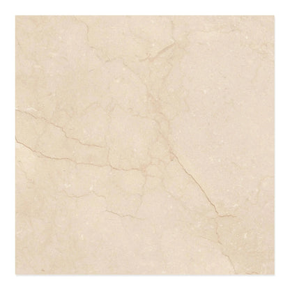 Crema Marfil Porcelain Tile 24x24 Matte