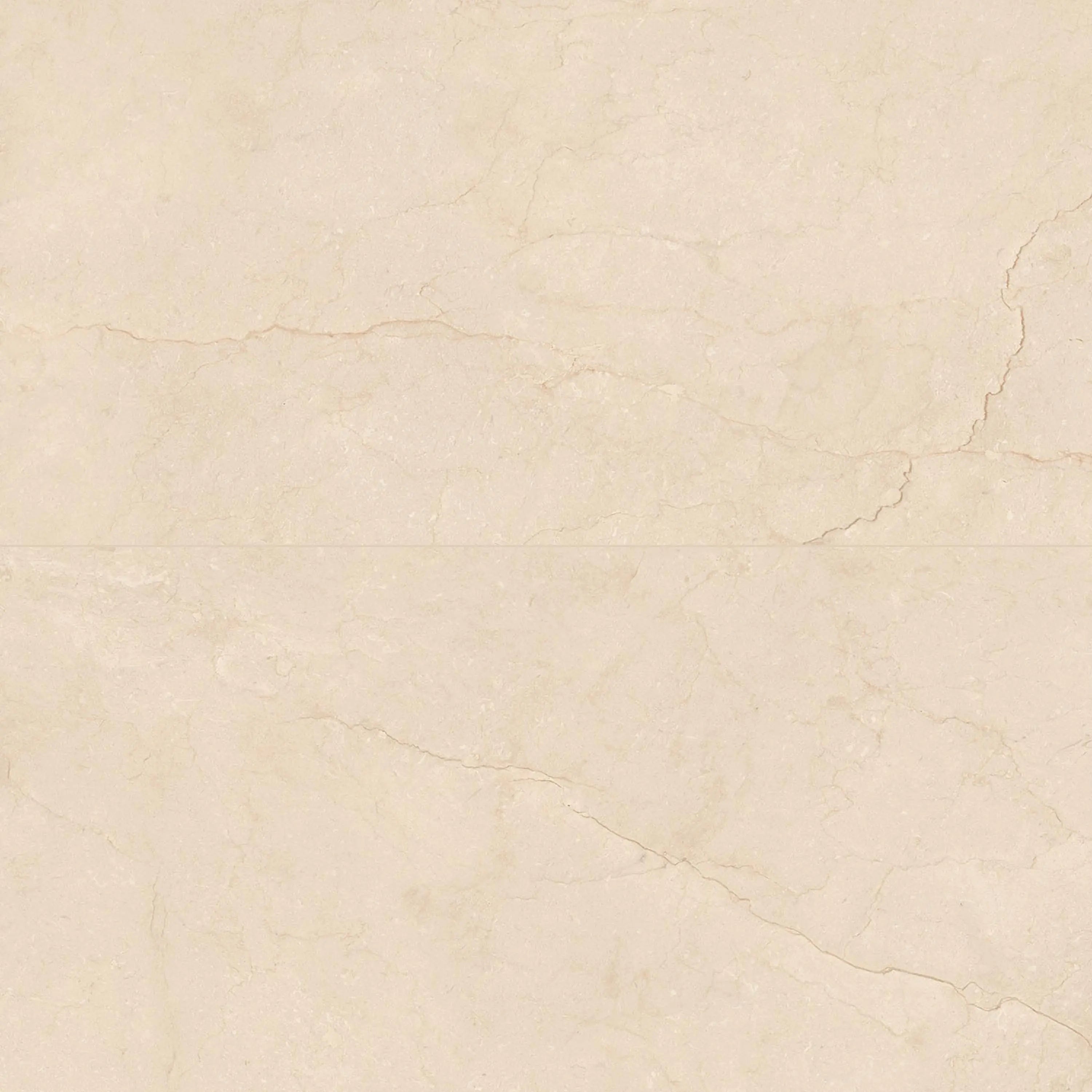 Crema Marfil Porcelain Tile 24x48 Matte