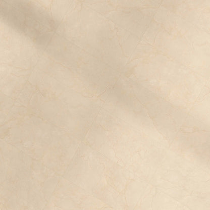 Crema Marfil Porcelain Tile 24x48 Polished