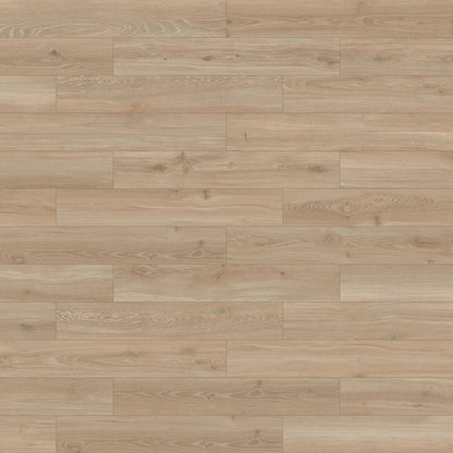 Island Oak Porcelain Tile Haya