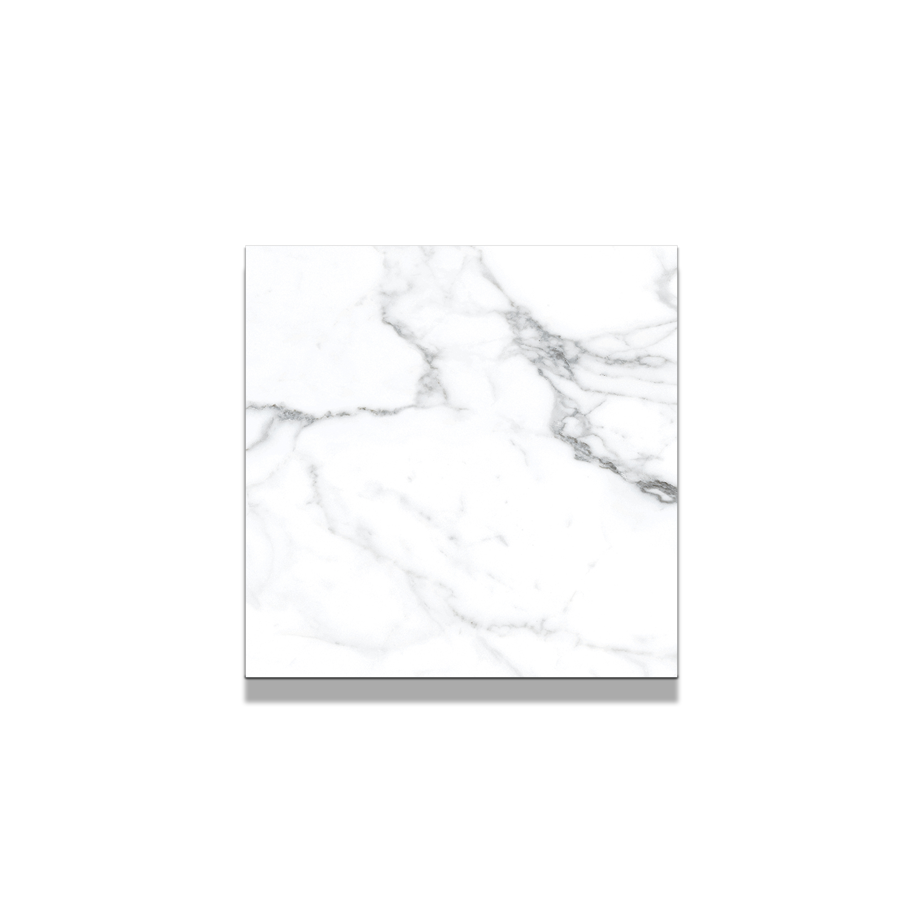 Statuario Porcelain Tile 4"x4" Sample